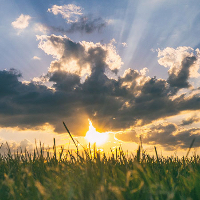 Anne Irene Christensen