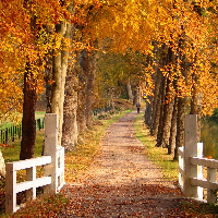 Kari Stabel Andersen